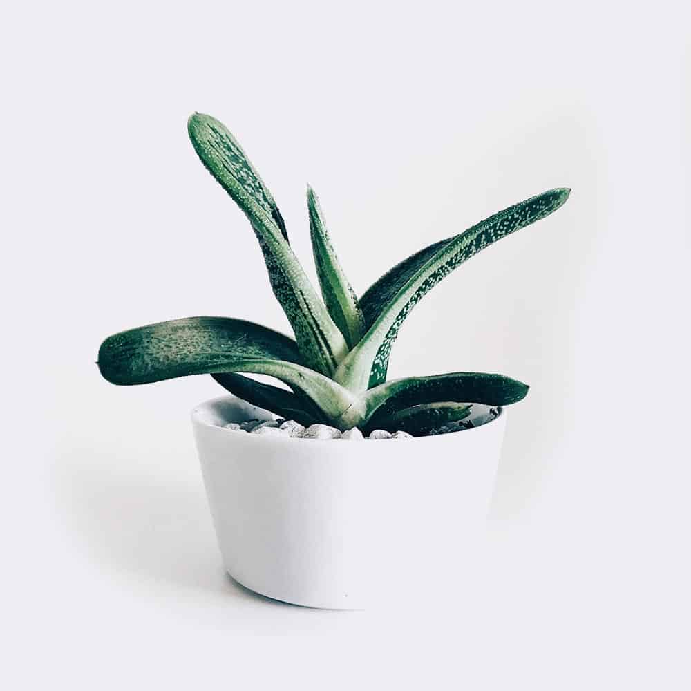 TechWave Soluciones informaticas plant3 free img