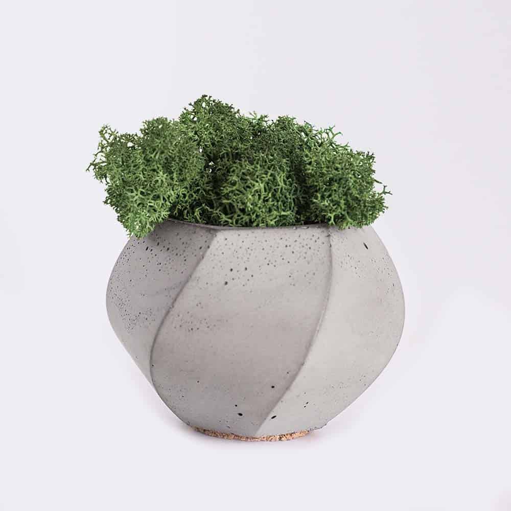 TechWave Soluciones informaticas Plant4 Free Img